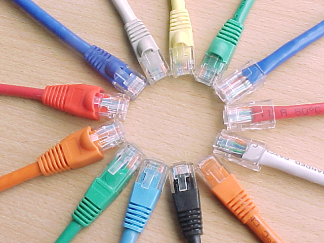 Behind Every Smooth Workday — The Patch Cord That Keeps Us Connected