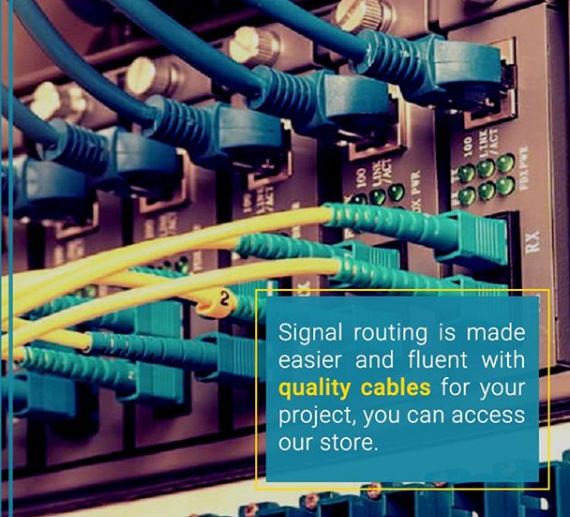 The Invisible Link That Connects Our Lives